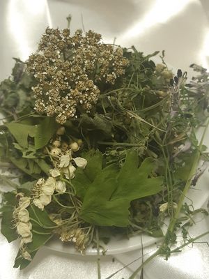Produit aux plantes medicinales : Infusion n°2 : Femme